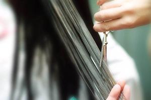 オリーブ葉エキスはコンビタのサプリメントです